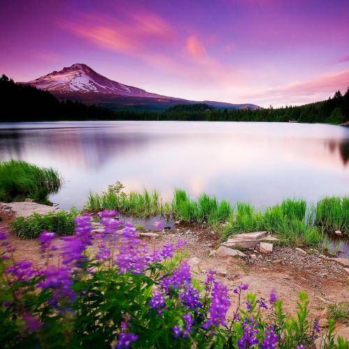 هیپهاپولوژیست بابلسر رو کوش نگاه لوکی رلم میاد بوش