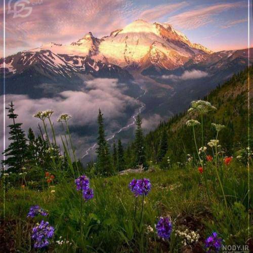 تهم و هیپهاپولوژیست و سرب و کابوس جنس ما مرغوبه مرغوبه مرغوبه مرغوبه