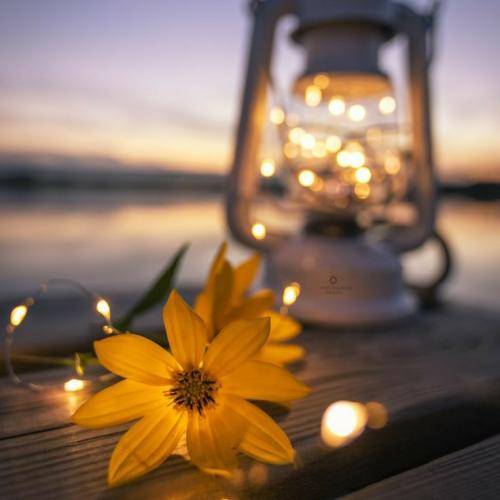 شاهین نجفی نزن به اون کسی که باور داری نزن تو دستت