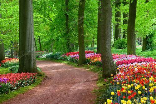 امیر تتلو هنو هر شب برات انرژی میفرستم باهات میگیره انرژی این حسم