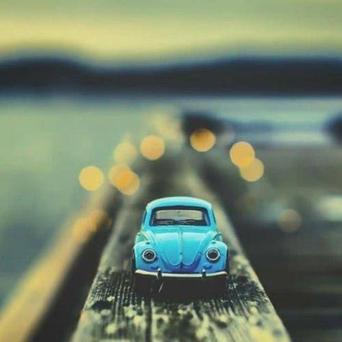 شاهین نجفی مثل کرمی که تو پیله به خودم میتابم