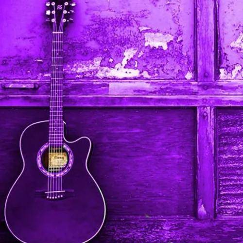 شاهین نجفی جلو منو بگیر تو رو جون شعبان نزار