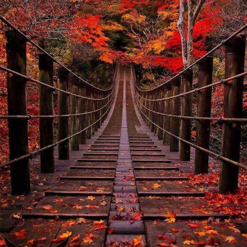 هیپهاپولوژیست SR بفرستین مریض اول رو توو پوتک