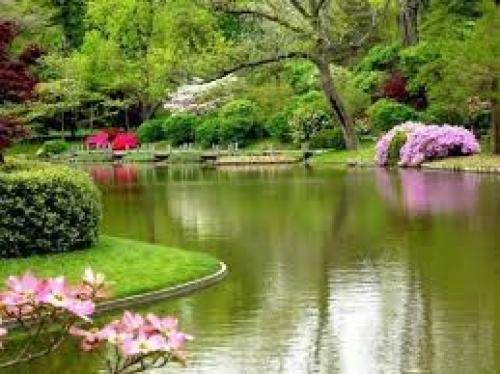 سارن از خون جوانان وطن لاله وطن لاله دمیده