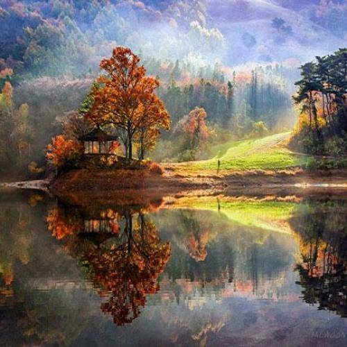تهم و هیپهاپولوژیست و سرب و کابوس دادا توو جیباته کافیه تا سه بشماری