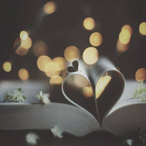 شاهین نجفی صدا کن روح شاه رو صدا کن بازم رضا رو