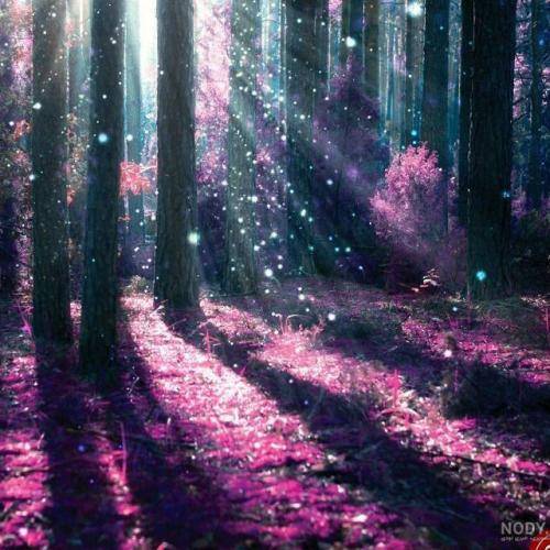 هیپهاپولوژیست ولی گنگ گنگ همراهمه جهادی جهادی