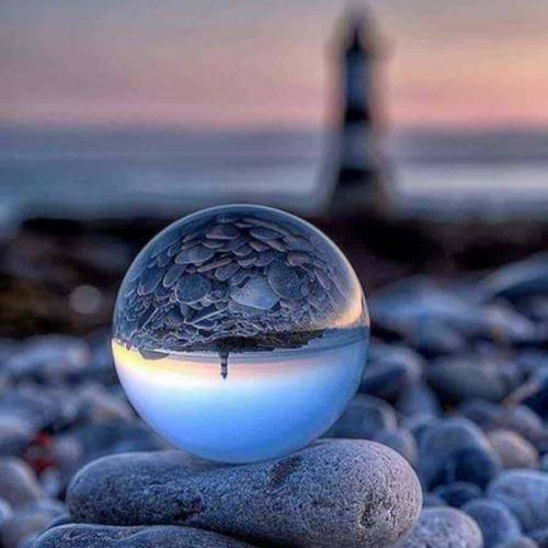 شاهین نجفی نمونده چیزی جز جونمون که قربانی شه