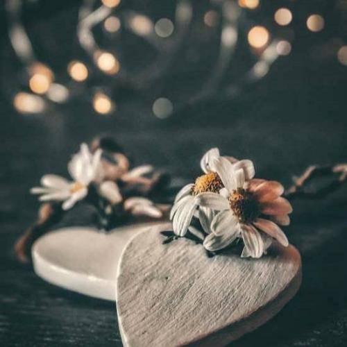 شاهین نجفی بابام زیر آهن و آتش مُرد تنها برادرم