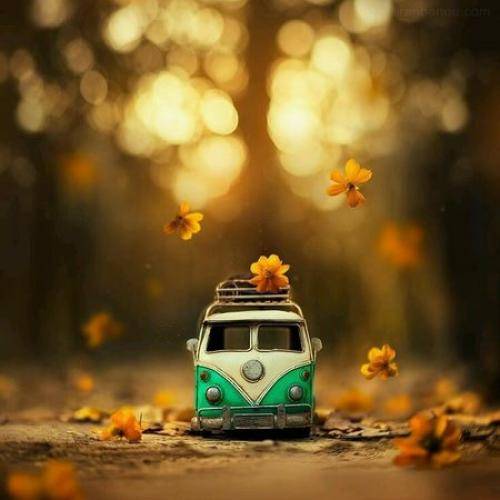 شاهین نجفی وقتشه بلندشم بنویسم میخوابم گیج و بد