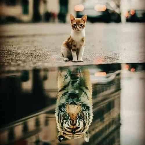 رضا پیشرو به حکم قاضیا زندان پره هر مظلومیتیم سانسوره