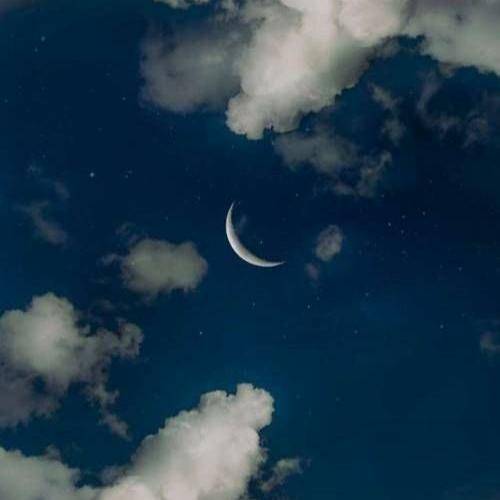 شاهین نجفی یکی میخونه از عشق و یکی در پی معشوقش