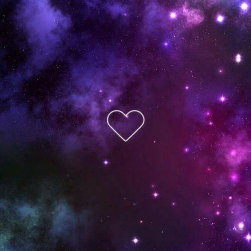 شاهین نجفی ما سرنوشتمان خون توی جوب بود