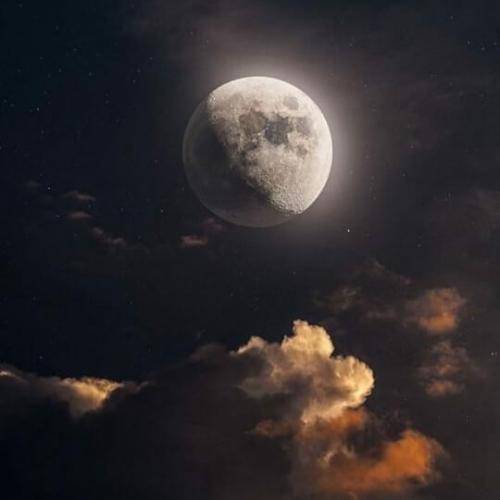 شاهین نجفی ما شرریم و مثل گله ی اشرار مسلح
