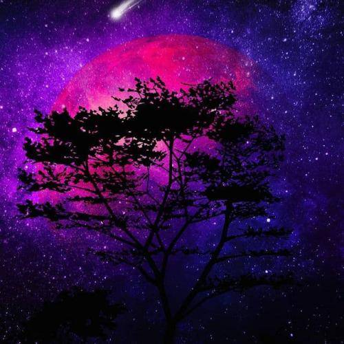 شاهین نجفی بى بى بى بى سى جان بى بى بى بى