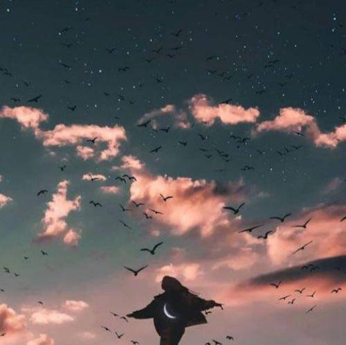 بلک کتس به موهای سیاه ژینا سوگند