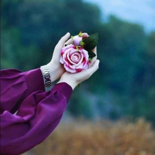 با سردخونه های پُر با خشم ما چه میکنی