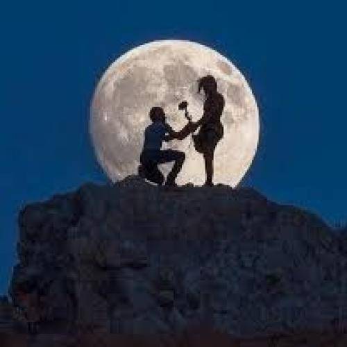 دنیا اصلا نترس