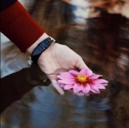 هیچکس واس نفرت که تو دل همه جا دادی