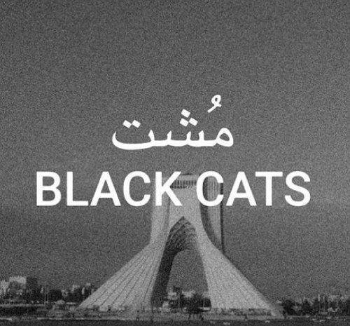 بلک کتس مشت