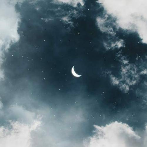 شاهین نجفی عمو کریس نخون نخون تاوون داره
