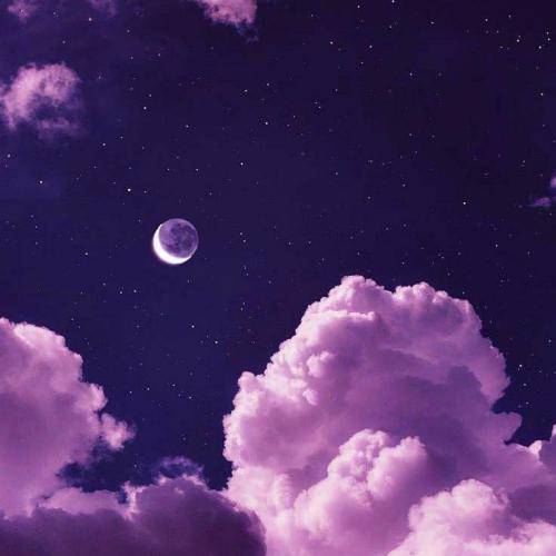شاهین نجفی کریس به خودت بیا آخرعمری برات بده