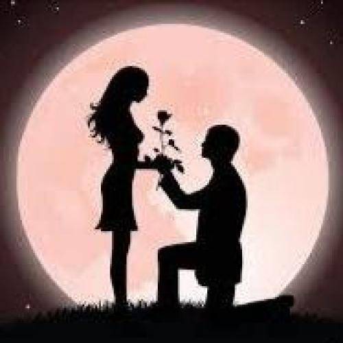  حرف از هیاهو کم بزن ازآشتی‌ها دم بزن