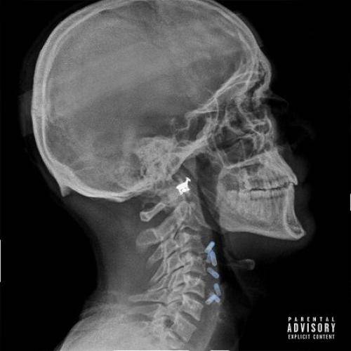 هیپهاپولوژیست بتمن