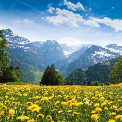  اونا میخوان منو بده کنن تو‌ رو زده کنن