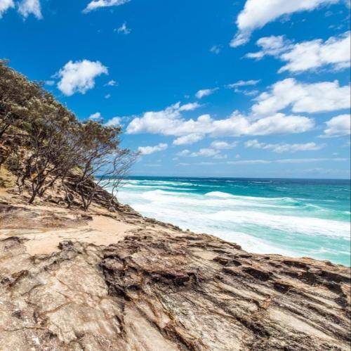 تقصیر دلم نیس اگه دیوونم وابسته به عطرت