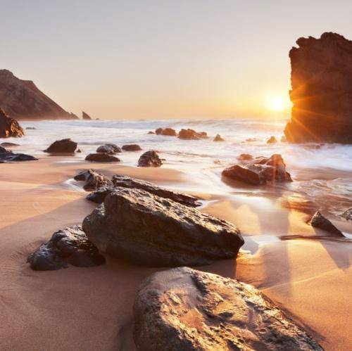  ولی نذاشت که یه بار تو زندگیت ببینی ترسیو