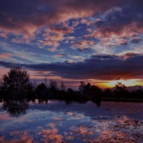 حصین همه گفتن ن ولی من کردم