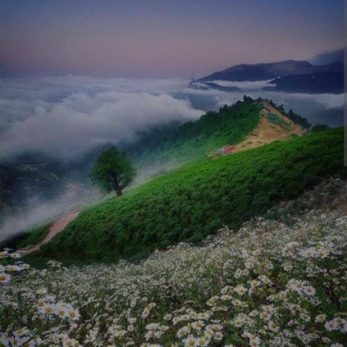  ماندم جدا ز یاران از بلای طوفان بال من شکسته