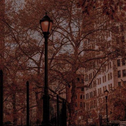 سیجل و د دان کجا گمت کردم