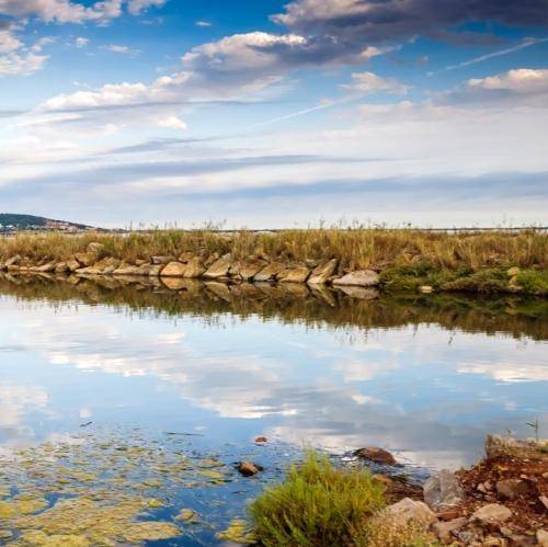 حصین خط زدم دور خودم