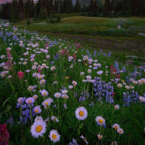  تو از جنس ما نیستی یک شب ب فقرم