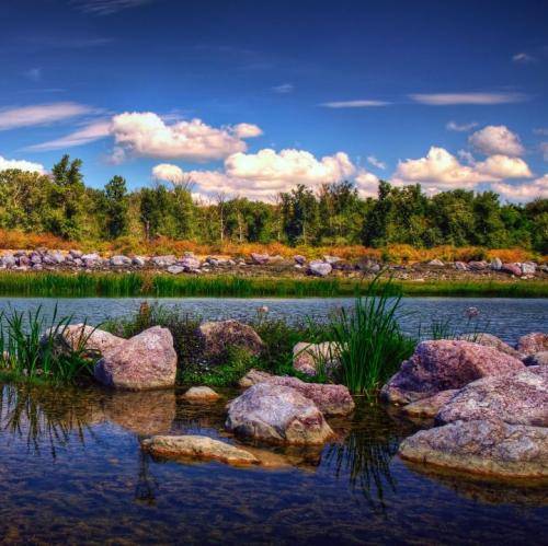  میروم یک جای دور عزیزم اگر مثل من