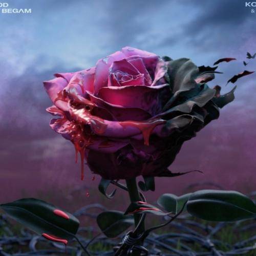 کوروش نشد بهت بگم