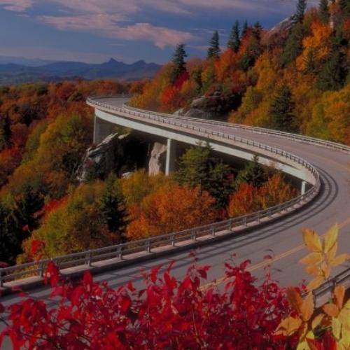  هنوز رویای تو دنبال من هنوز زخمای تو