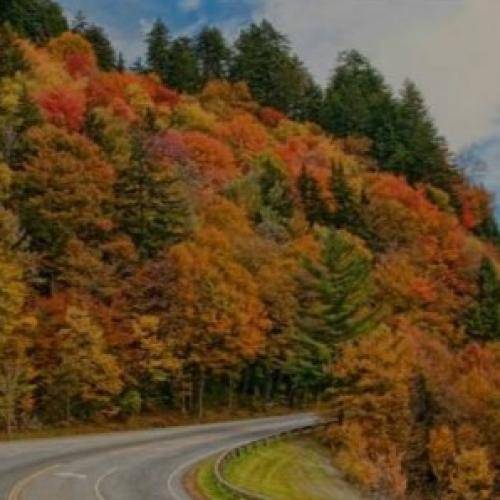 حصین نه قصه بلدی ن اهل قصه ای