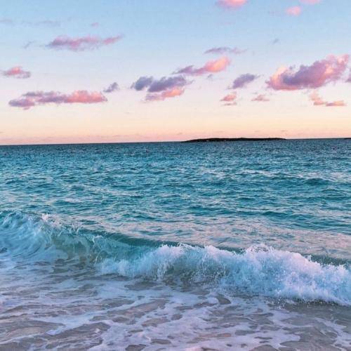 سیجل دوباره زاده میشم