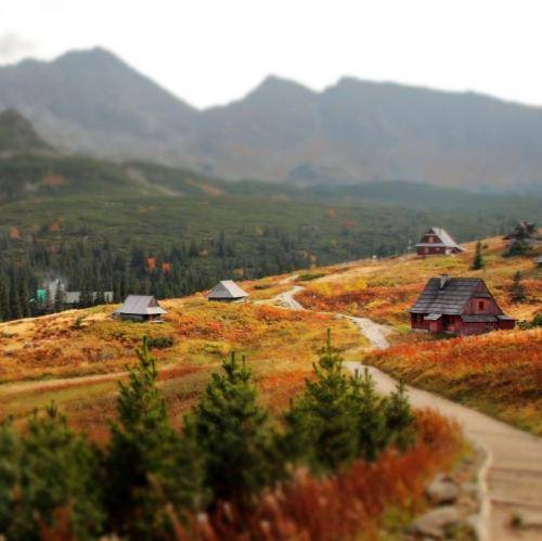  من تو این عشق نجنگیدم چه بد کردم