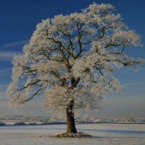  هر جا اسمش میاد توی دل من یه غوغایی