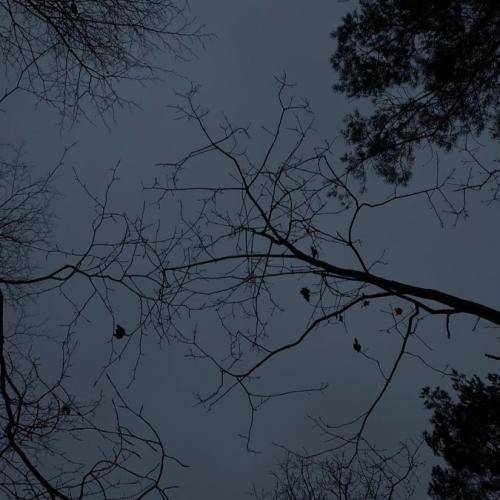  خالق تو را شاد آفرید آزاد آزاد آفرید