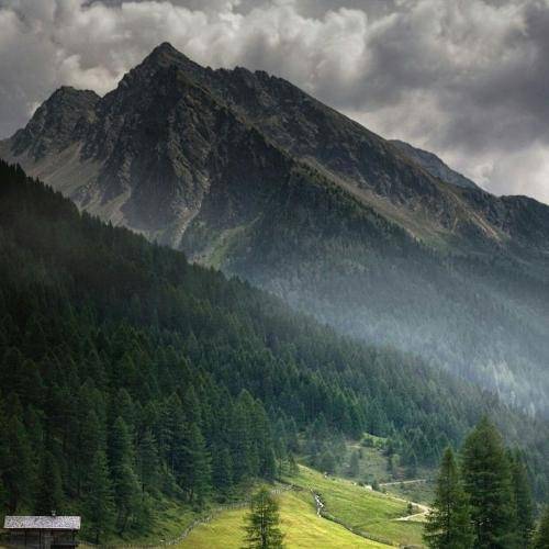  تو گوشم ویسپر امشب منو میخوای یک