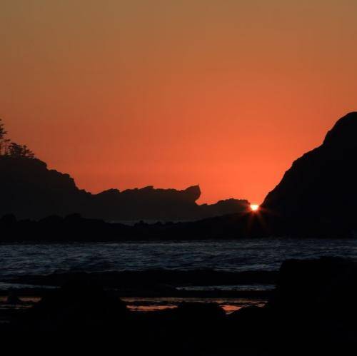  گشتم چنان دیوانگان تا آتشم دامن زده