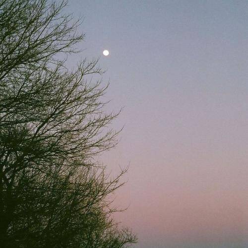  گر رو به ظلمت میروی من میدهم این جانو