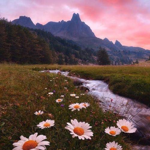  وقتی مست میشی خیلی پلی کن انگار