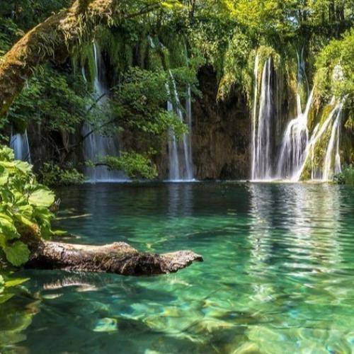 بیان اینجا یا ده تایی کارتینگ بلند باز میگی