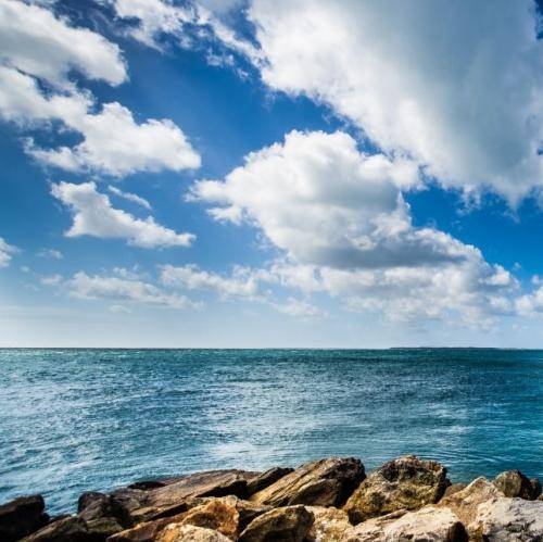  تو بی تفاوت منو بی قرارو دل دیوونه ما رو بد